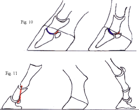 Fig 10 and 11