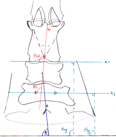 Fig 24